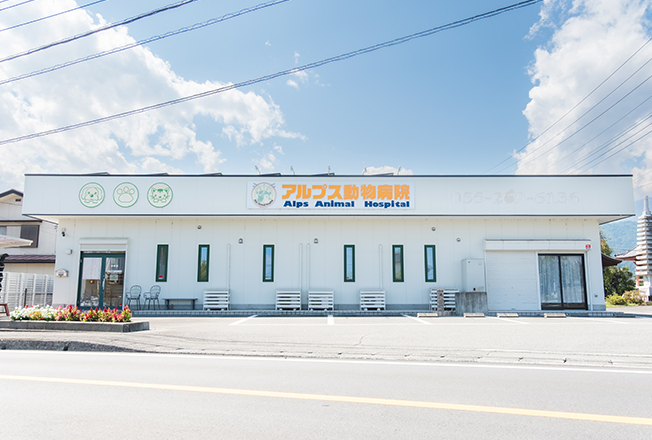 アルプス動物病院