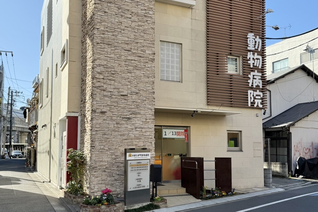 かまた本町動物病院