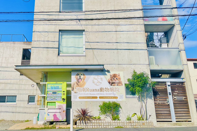 ルアナ動物病院